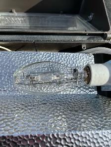 Yard light - Photo 4