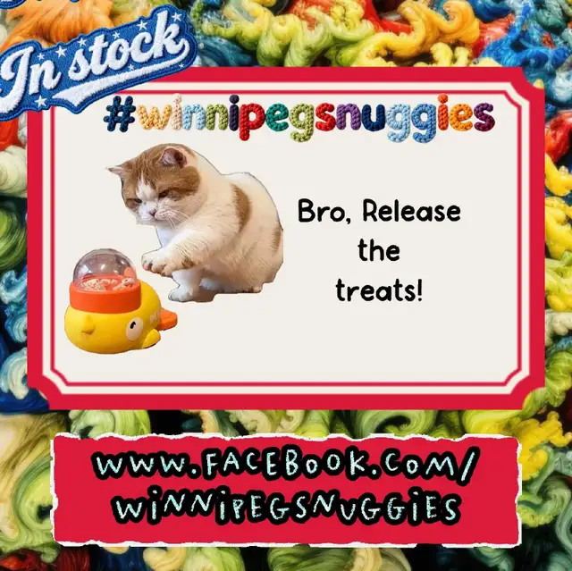 interactive duck toy dogs and cats