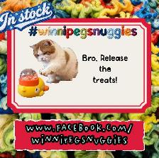 interactive duck toy dogs and cats