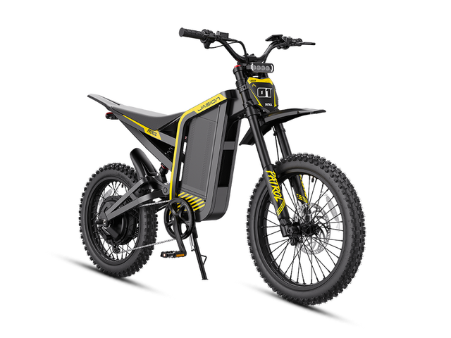 Jasion Patrol 52 Electric Dirt Bike — 4000W