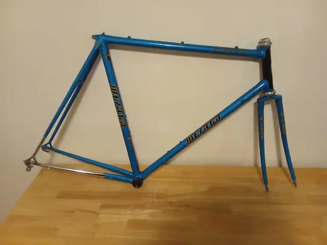 Team Miyata