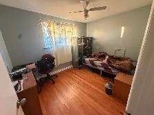 Private Room for rent