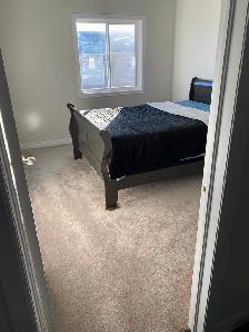 1 bedroom with shared kitchen and washroom for rent
