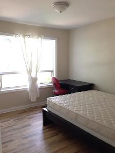 Furnished First-Floor Room for Rent — North York (Yonge/Finch) - Photo 6