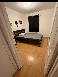 2 bedroom house for rent - Photo 4