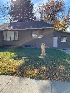 Bright 2 BDRM legal upper suite available Oct 10th