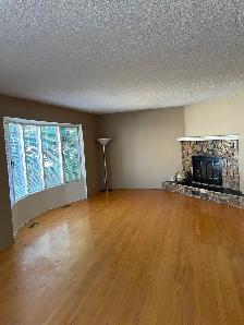 Bright 2 BDRM legal upper suite available Oct 10th - Photo 2