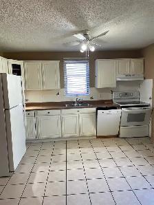 Bright 2 BDRM legal upper suite available Oct 10th - Photo 3