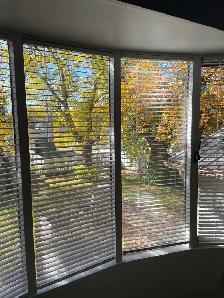 Bright 2 BDRM legal upper suite available Oct 10th - Photo 4