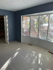 Bright 2 BDRM legal upper suite available Oct 10th - Photo 6