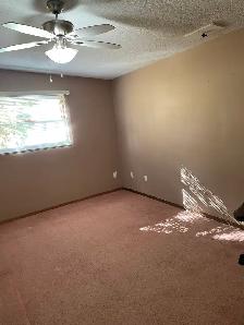 Bright 2 BDRM legal upper suite available Oct 10th - Photo 7