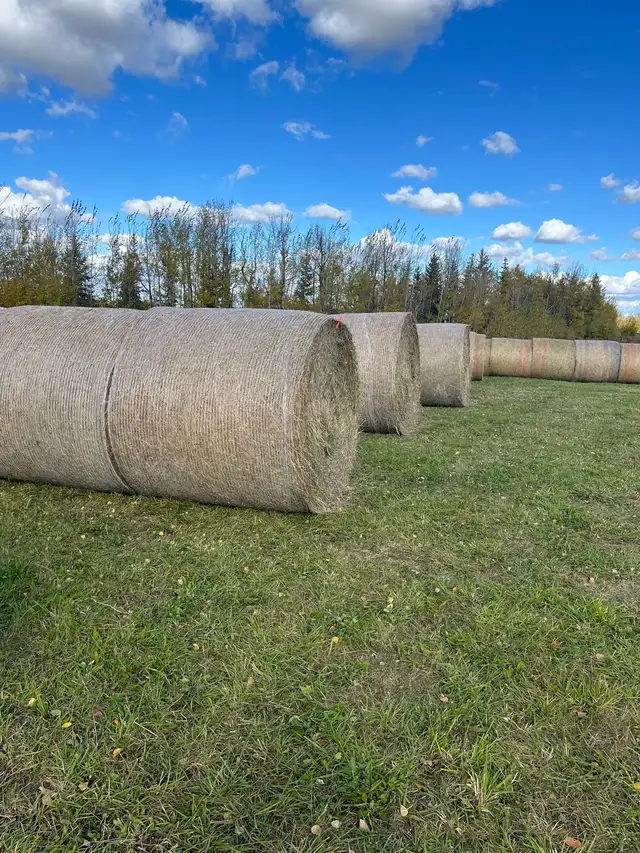 Hay Bales