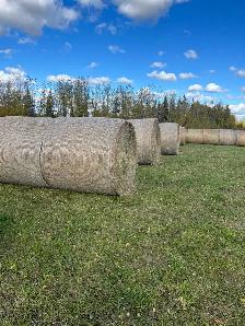Hay Bales