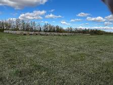 Hay Bales - Photo 2