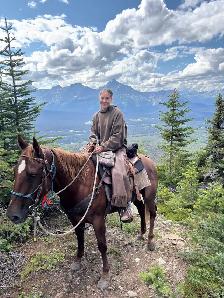Mountain ready 4 year old gelding - Photo 2