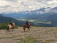 Mountain ready 4 year old gelding - Photo 5