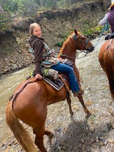 Mountain ready 4 year old gelding - Photo 6