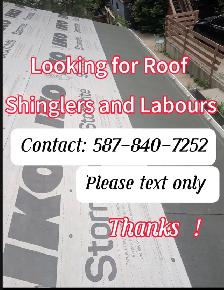 Looking for roof Shinglers and labours