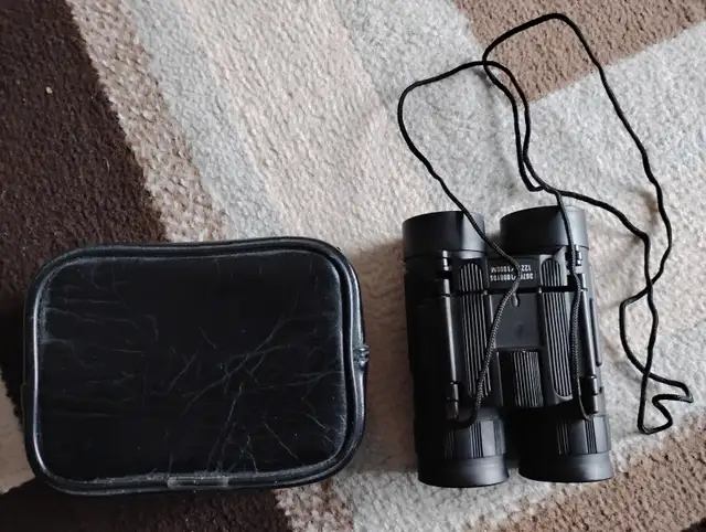 Vintage small binoculars with case