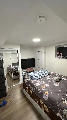 legal basement for rent - Photo 6