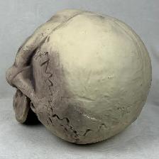 Oversized Giant Foam Skull Head (16.5'D x 13'H x 12.5'W) - Photo 5