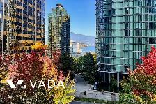 The Lions 1 BR APT Rental 405-1331 Alberni St Vancouver: VADA
