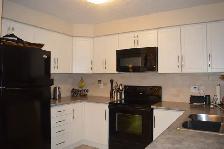 Beautiful 3 bedroom 3 baths - detached house for rent - Photo 2