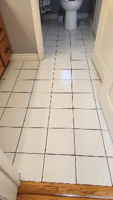 Professional Cleaning Service - Photo 8