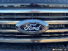2027 Ford F-350 Super Duty Platinum - Photo 10