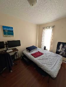 Room for Rent (YorkU Village)