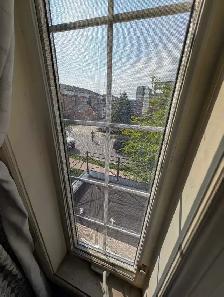 Room for Rent (YorkU Village) - Photo 3
