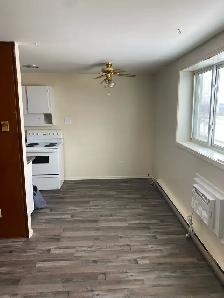 East Kildonan - 2 Bedroom Apartment for Rent - Photo 4