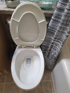 Solo Cleaner Looking For Casual Clients! - Photo 4
