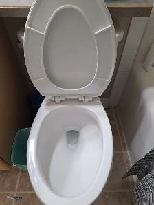 Solo Cleaner Looking For Casual Clients! - Photo 5