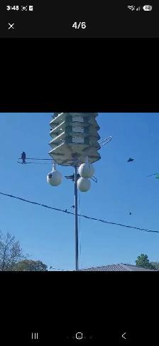 PURPLE MARTIN 'TRIO ALUMINUM' BIRDHOUSE FOR SALE - Photo 4