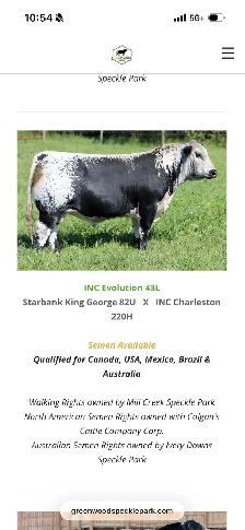 Superior Speckle Park Herd Dispersal - Photo 5