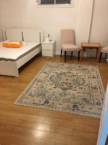 One bedrm of 3 bedroom Basement $1150 nearFinch&Yonge 6477161339 - Photo 2