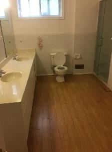One bedrm of 3 bedroom Basement $1150 nearFinch&Yonge 6477161339 - Photo 5