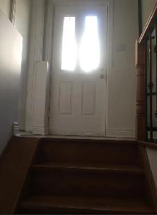 One bedrm of 3 bedroom Basement $1150 nearFinch&Yonge 6477161339 - Photo 6