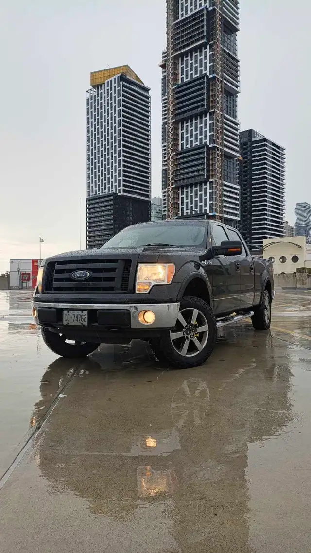 2010 Ford F-150 FX4 4X4