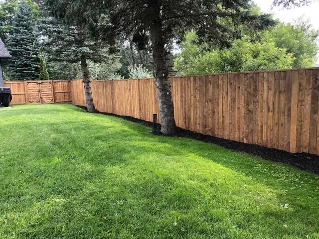 Landscape Construction