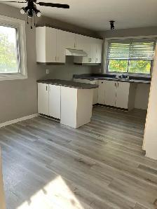 4 1/2 Pointe-aux-Trembles, libre, 1150 $