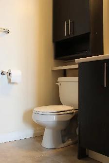 Stunning 32nd-Furnished 1  Den Suite | Heart of Mississauga - Photo 8