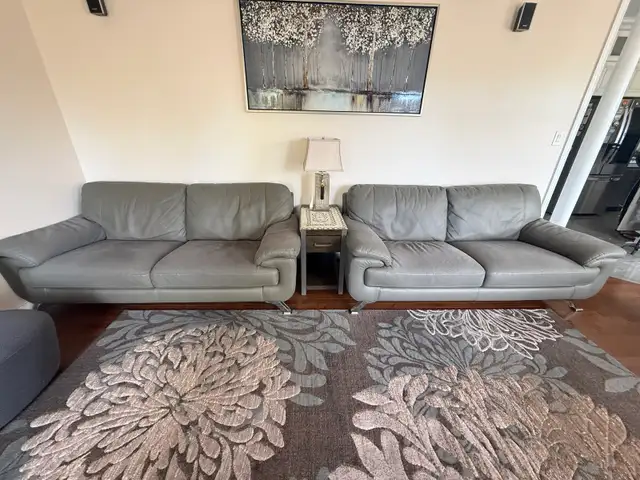 Grey Leather Sofa Set with matching Carpet