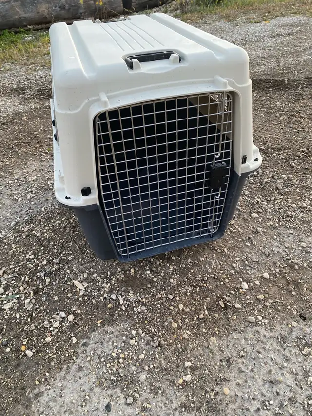extra large size dog kennel