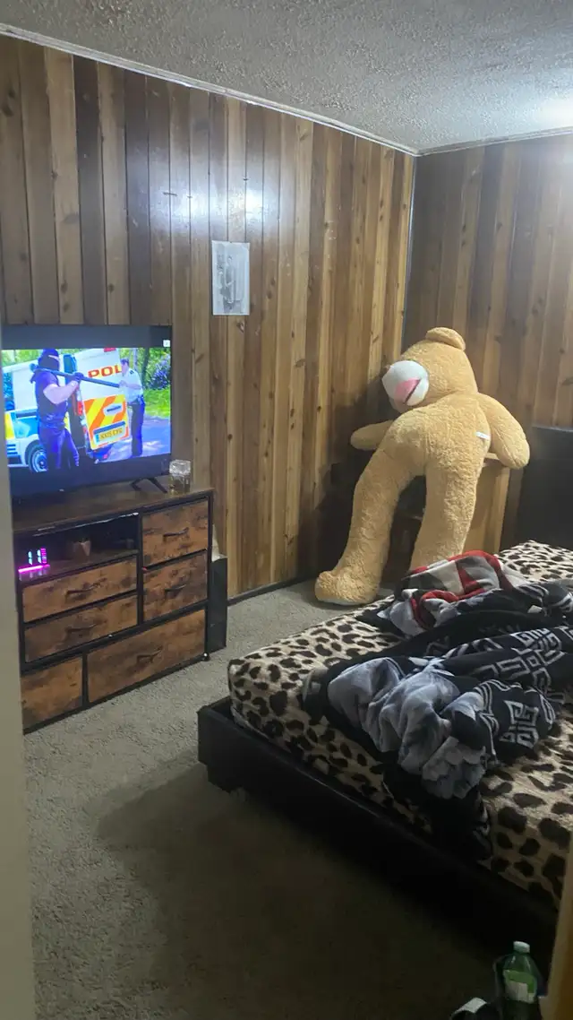 basement for rent