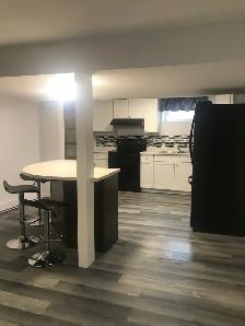 2 Bedroom basement suite-Southside - Photo 8