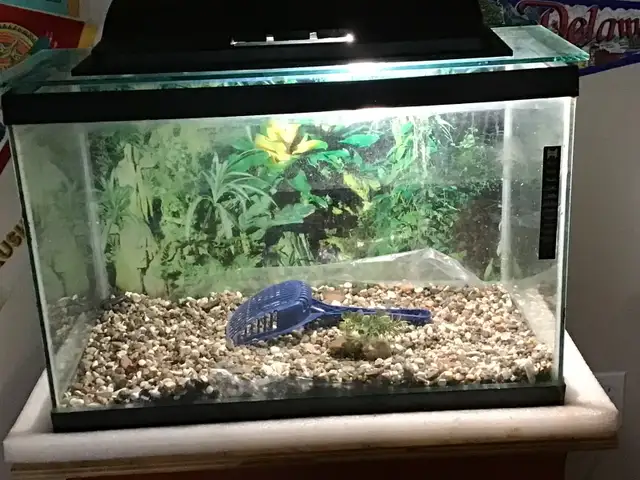 25 GALLON HAMSTER TANK WITH GLASS  LID FOR SALE.