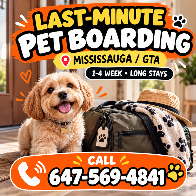 Last-Minute Pet Boarding Mississauga | Long Stays