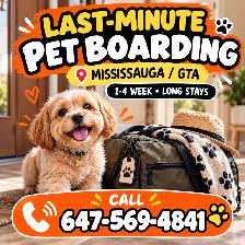 Last-Minute Pet Boarding Mississauga | Long Stays